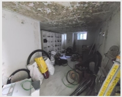  2023Ÿ3842  Ǳ 6 13, 2203ȣ (,ѻ)     ټ,