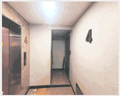  2023Ÿ��113749 ���� ���۱� ��絿 1034-27       �ٰ������ð��