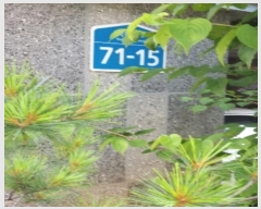  2023Ÿ110616  ټ()