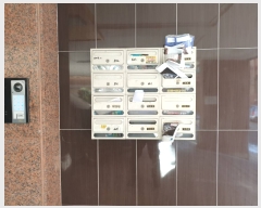  2023Ÿ��156  �ټ���(����)���