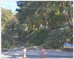  2023Ÿ113519  ϱ ̵ 80       (Ӿ)