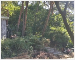  2023Ÿ113519  ϱ ̵ 80       (Ӿ)