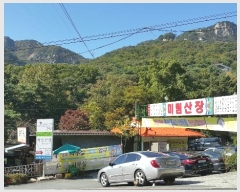  2023Ÿ113519  ϱ ̵ 80       (Ӿ)