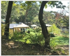  2023Ÿ113519  ϱ ̵ 80       (Ӿ)