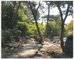  2023Ÿ113519  ϱ ̵ 80       (Ӿ)