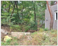  2023Ÿ113519  ϱ ̵ 80       (Ӿ)