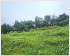  2023Ÿ��4519 ��� ����õ�� �۳��� ��33-4       ����(�Ӿ�)���