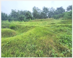  2023Ÿ��4519 ��� ����õ�� �۳��� ��33-4       ����(�Ӿ�)���