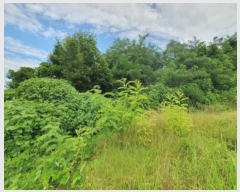  2023Ÿ��4519 ��� ����õ�� �۳��� ��33-4       ����(�Ӿ�)���