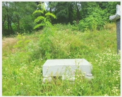  2023Ÿ��4519 ��� ����õ�� �۳��� ��33-4       ����(�Ӿ�)���