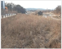  2023Ÿ��7310 ��� ��õ�� ���߸� �Ż縮 143      ����(��1)���