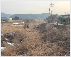  2023Ÿ��7310 ��� ��õ�� ���߸� �Ż縮 143      ����(��1)���