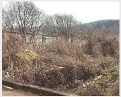  2023Ÿ��7310 ��� ��õ�� ���߸� �Ż縮 143      ����(��1)���