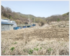  2023Ÿ��73317 ���� ö���� �ٳ��� ������ 596      ����(��)���