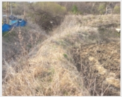  2023Ÿ��73317 ���� ö���� �ٳ��� ������ 596      ����(��)���