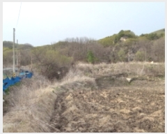  2023Ÿ��73317 ���� ö���� �ٳ��� ������ 596      ����(��)���