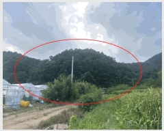  2023Ÿ76415  õ ż 뱤 113      (Ӿ)