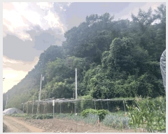  2023Ÿ76415  õ ż 뱤 113      (Ӿ)