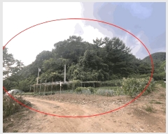  2023Ÿ76415  õ ż 뱤 113      (Ӿ)