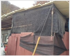  2023Ÿ76415  õ ż 뱤 113      (Ӿ)