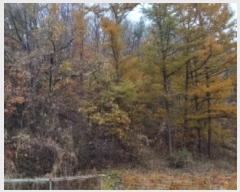  2023Ÿ76415  õ ż 뱤 113      (Ӿ)