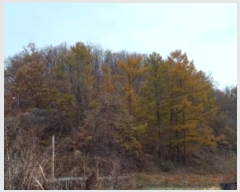  2023Ÿ76415  õ ż 뱤 113      (Ӿ)