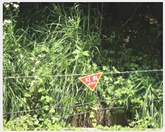  2023Ÿ��76828 ���� ö���� �ٵ��� ���븮 ��321-2      ����(�Ӿ�)���