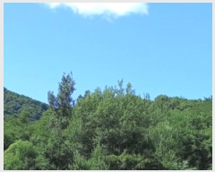  2023Ÿ��76828 ���� ö���� �ٵ��� ���븮 ��321-2      ����(�Ӿ�)���