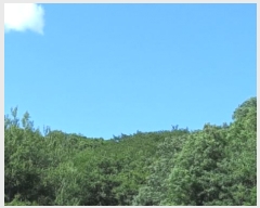  2023Ÿ��76828 ���� ö���� �ٵ��� ���븮 ��321-2      ����(�Ӿ�)���