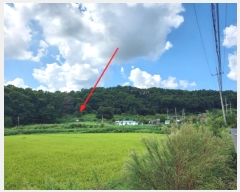  2023Ÿ��4946 ��� ���ֽ� ���� �ΰ 213-2      ����(��1)���