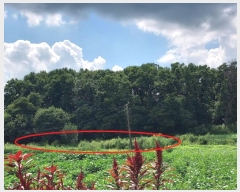  2023Ÿ��4946 ��� ���ֽ� ���� �ΰ 213-2      ����(��1)���