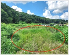  2023Ÿ��4946 ��� ���ֽ� ���� �ΰ 213-2      ����(��1)���