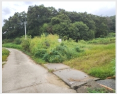  2023Ÿ��4946 ��� ���ֽ� ���� �ΰ 213-2      ����(��1)���