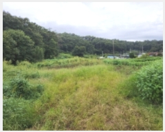  2023Ÿ��4946 ��� ���ֽ� ���� �ΰ 213-2      ����(��1)���