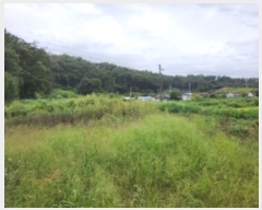  2023Ÿ��4946 ��� ���ֽ� ���� �ΰ 213-2      ����(��1)���