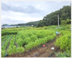  2023Ÿ��4946 ��� ���ֽ� ���� �ΰ 213-2      ����(��1)���