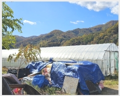  2023Ÿ��5567 ���� ö���� �ٳ��� ���ܸ� 393      ����(��)���