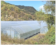  2023Ÿ��5567 ���� ö���� �ٳ��� ���ܸ� 393      ����(��)���