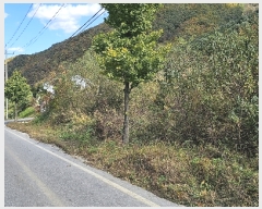  2023Ÿ��5567 ���� ö���� �ٳ��� ���ܸ� 393      ����(��)���