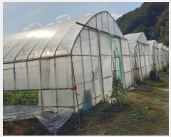  2023Ÿ��5567 ���� ö���� �ٳ��� ���ܸ� 393      ����(��)���