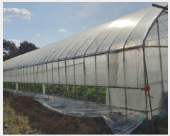  2023Ÿ��5567 ���� ö���� �ٳ��� ���ܸ� 393      ����(��)���