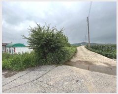  2023Ÿ��3691 ���� ö���� ������ ���븮 ��135      ����(�Ӿ�)���