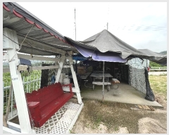  2023Ÿ��3691 ���� ö���� ������ ���븮 ��135      ����(�Ӿ�)���