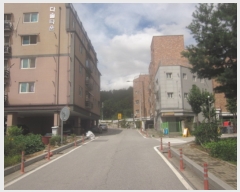  2023Ÿ��4977 ��� ��õ�� �չ�� 249, 3��303ȣ (������,���̵�)     �ټ���,������