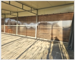  2023Ÿ��83871  ������