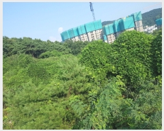  2023Ÿ��8787  �Ӿ߰��