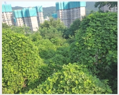  2023Ÿ��8787  �Ӿ߰��