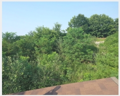  2023Ÿ��8787  �Ӿ߰��