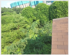  2023Ÿ��8787  �Ӿ߰��