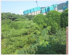  2023Ÿ��8787  �Ӿ߰��